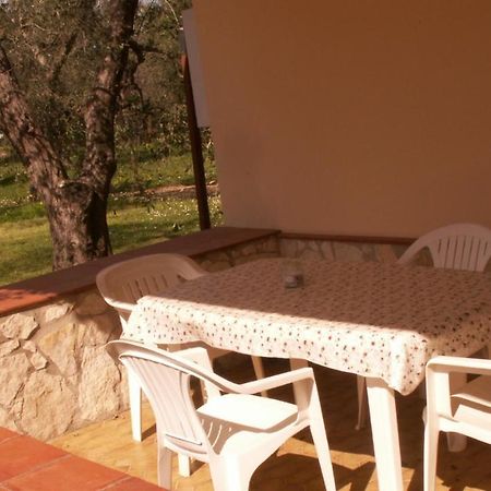 Villa Oleandro Ciccino Vieste Exteriör bild