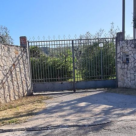 Villa Oleandro Ciccino Vieste Exteriör bild